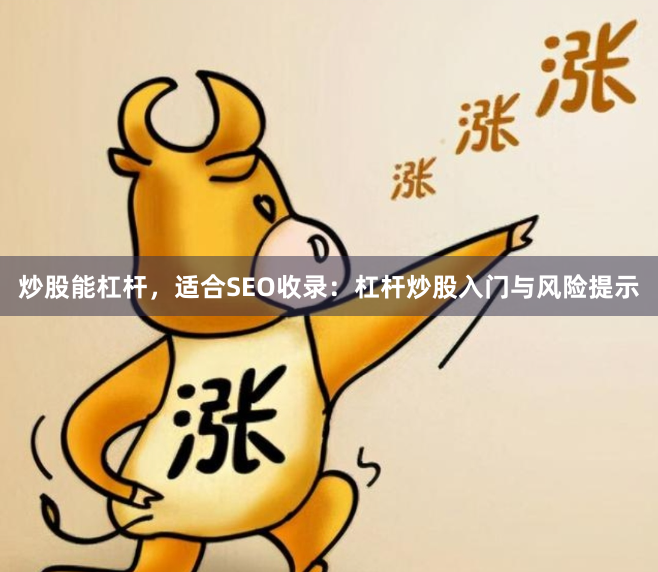 炒股能杠杆，适合SEO收录：杠杆炒股入门与风险提示